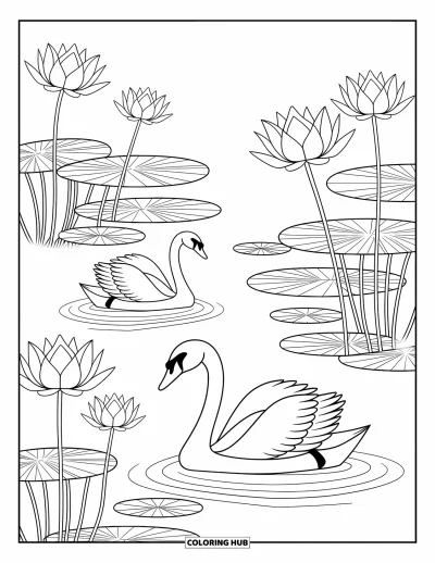 大人向け湖のぬりえ: 白鳥と蓮の花と細かい模様がある穏やかな湖