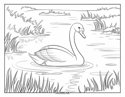 子ども向け湖のぬりえ: 背の高い草がある湖を静かに泳ぐ白鳥