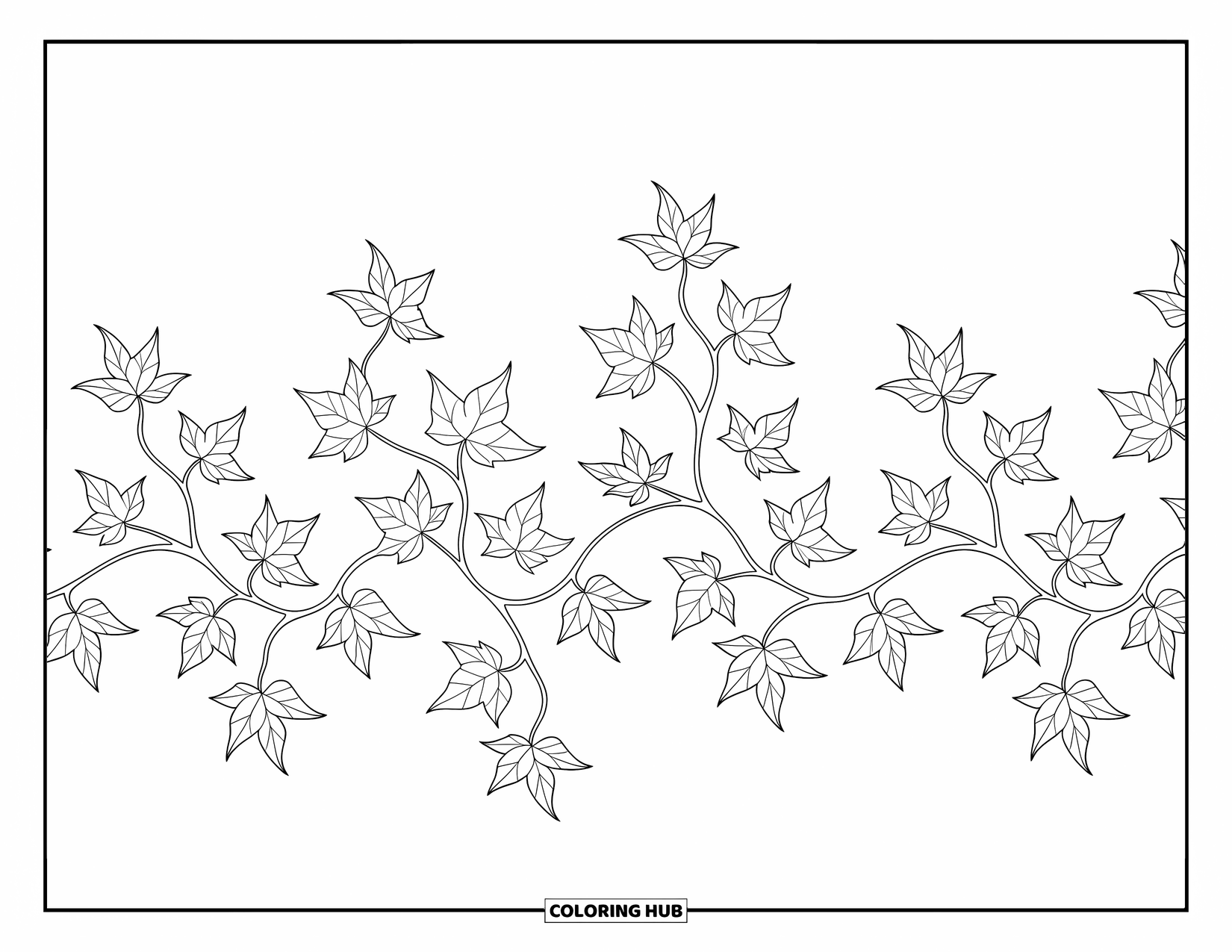 Leaf Coloring Page for Adults: Climbing ivy leaves form a mesmerizing, swirling border with delicate, intricate details