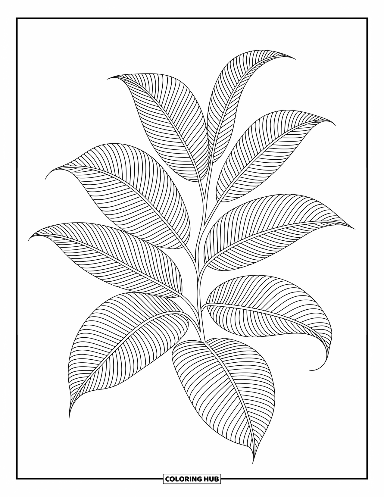 Leaf Coloring Page for Adults: Intricately woven ficus leaves interlace with swirling lines, creating a mesmerizing zentangle-style pattern