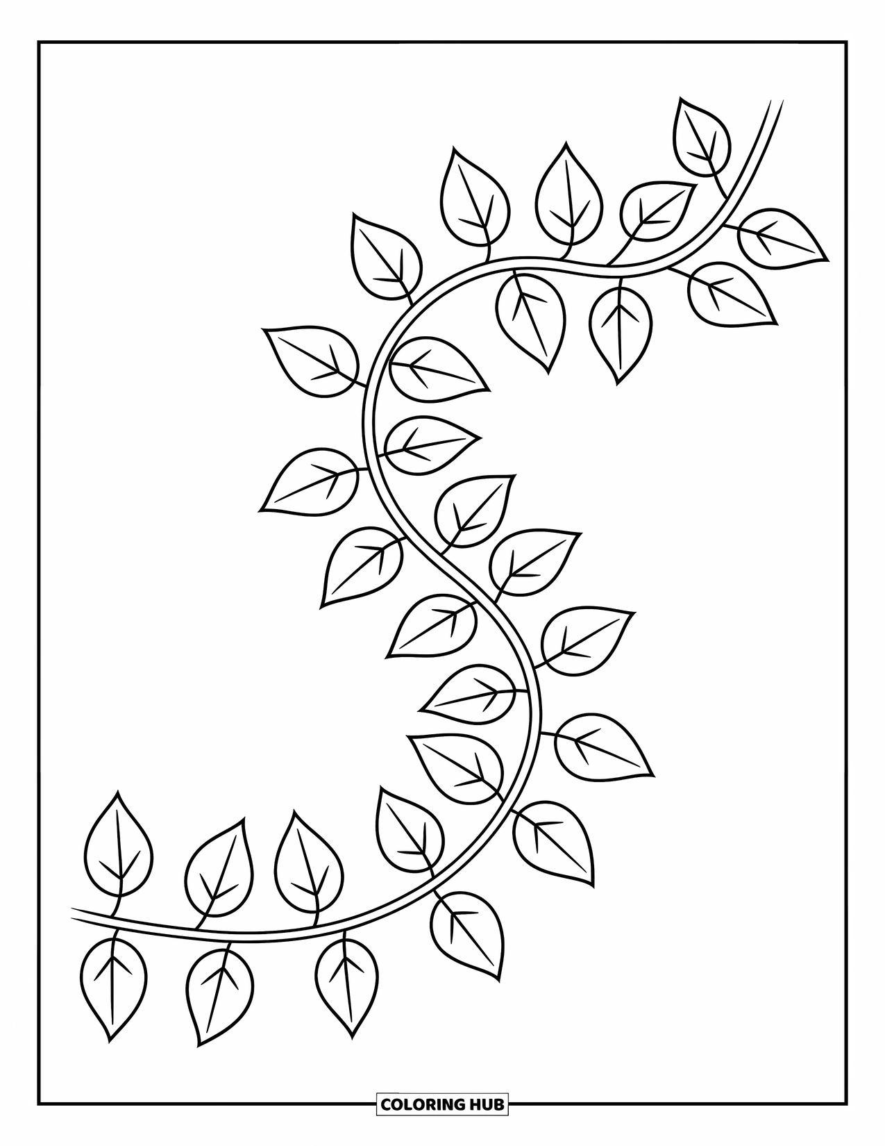 Leaf Coloring Page for Kids: A curling vine decorated with playful leaves stretches in a graceful, winding pattern