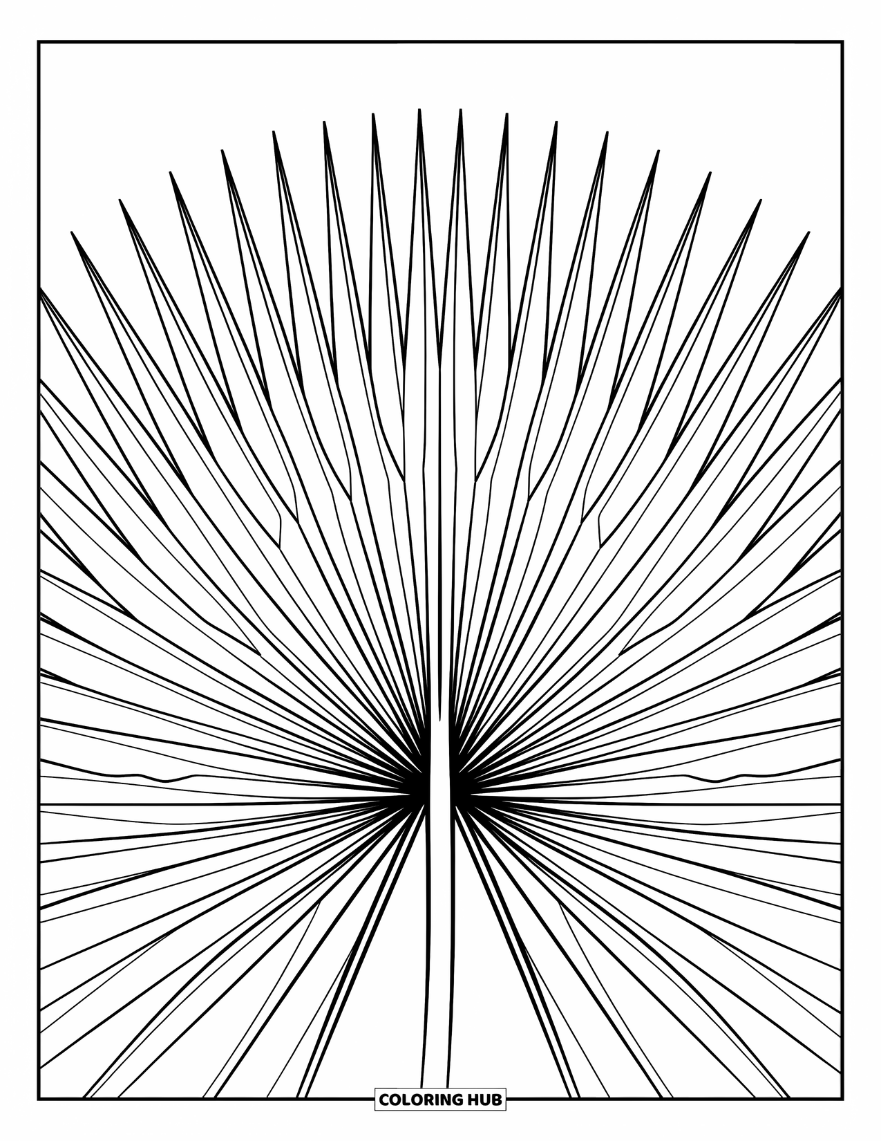 Leaf Coloring Page for Kids: A fan-like sago palm leaf extends outward, its lines forming a naturally structured shape