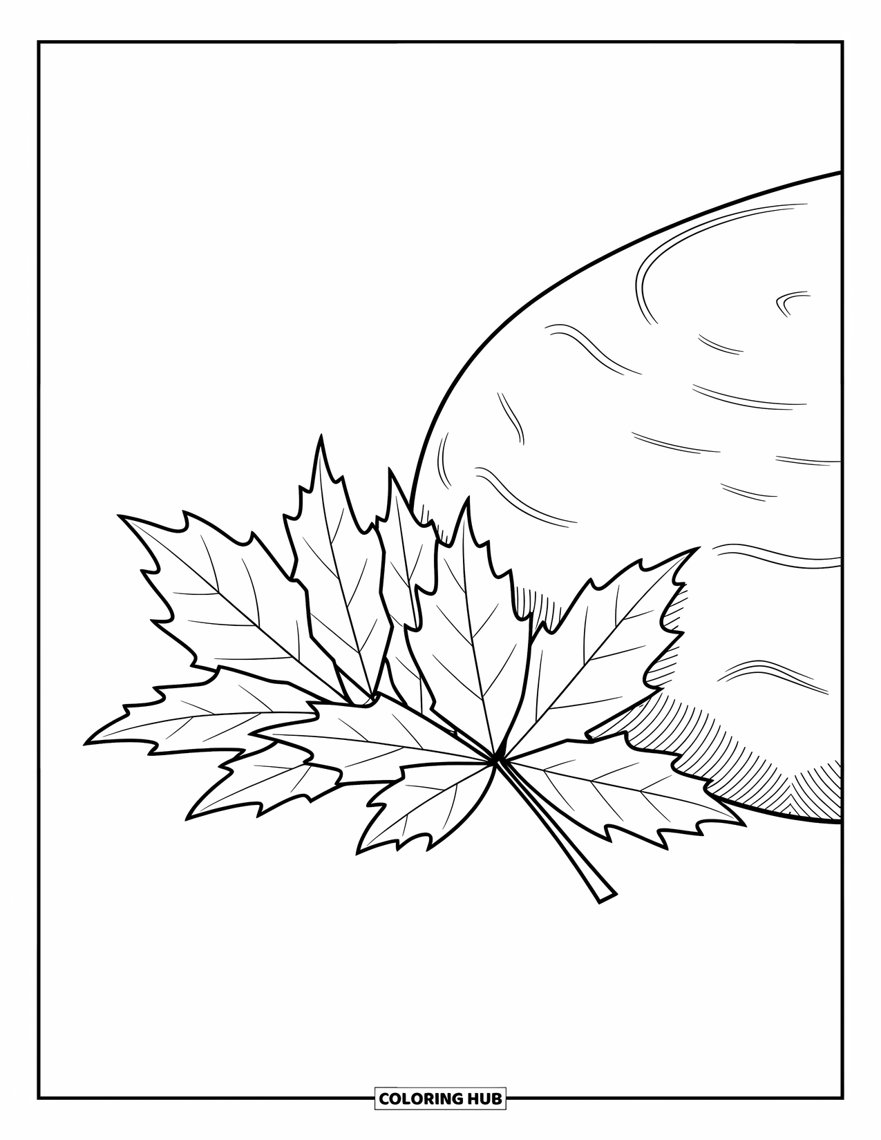 Leaf Coloring Page for Kids: A few fallen aspen leaves lean against a rounded stone, contrasting their soft edges with its smoothness