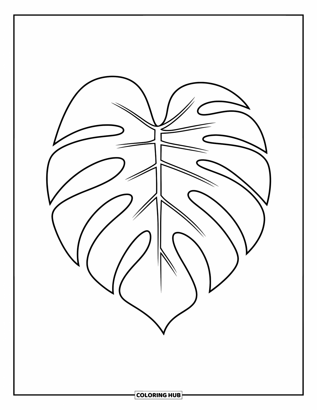 Leaf Coloring Page for Kids: A gracefully curved monstera leaf features smooth lines and large, open sections