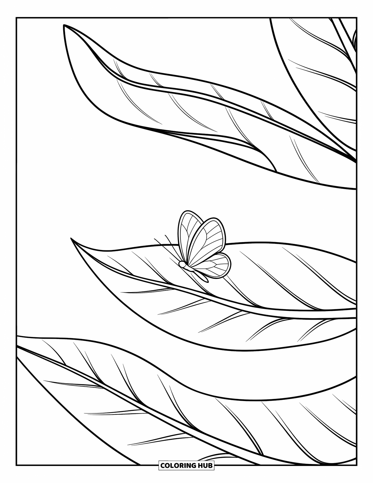 Leaf Coloring Page for Kids: A large leaf curls gently as a tiny butterfly rests softly on its surface