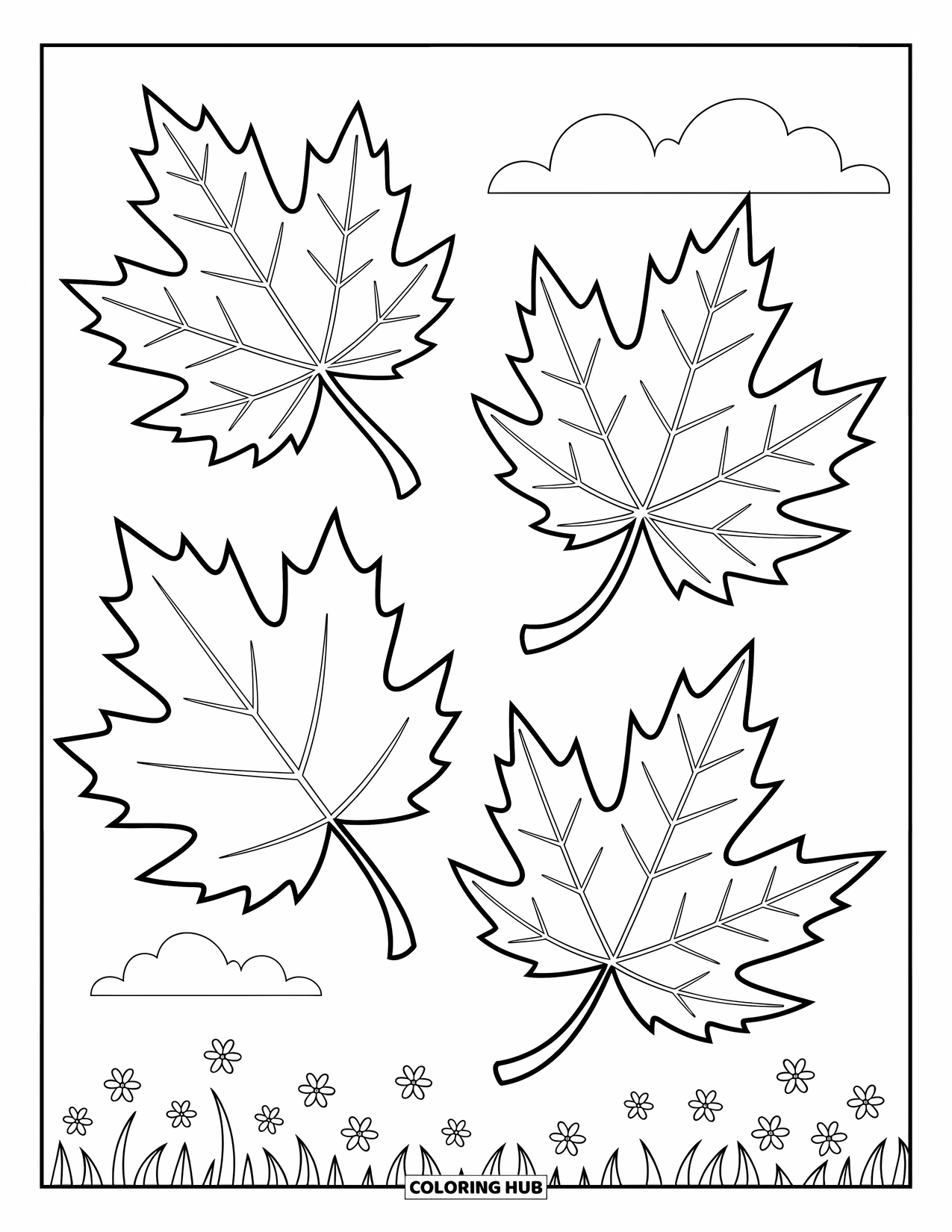 Leaf Coloring Page for Kids: A maple, oak, and birch leaf float separately, showcasing their unique shapes