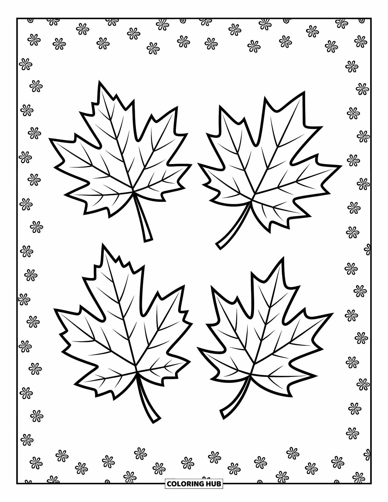 Leaf Coloring Page for Kids: A maple, oak, and birch leaf sit separately, each with its own natural charm