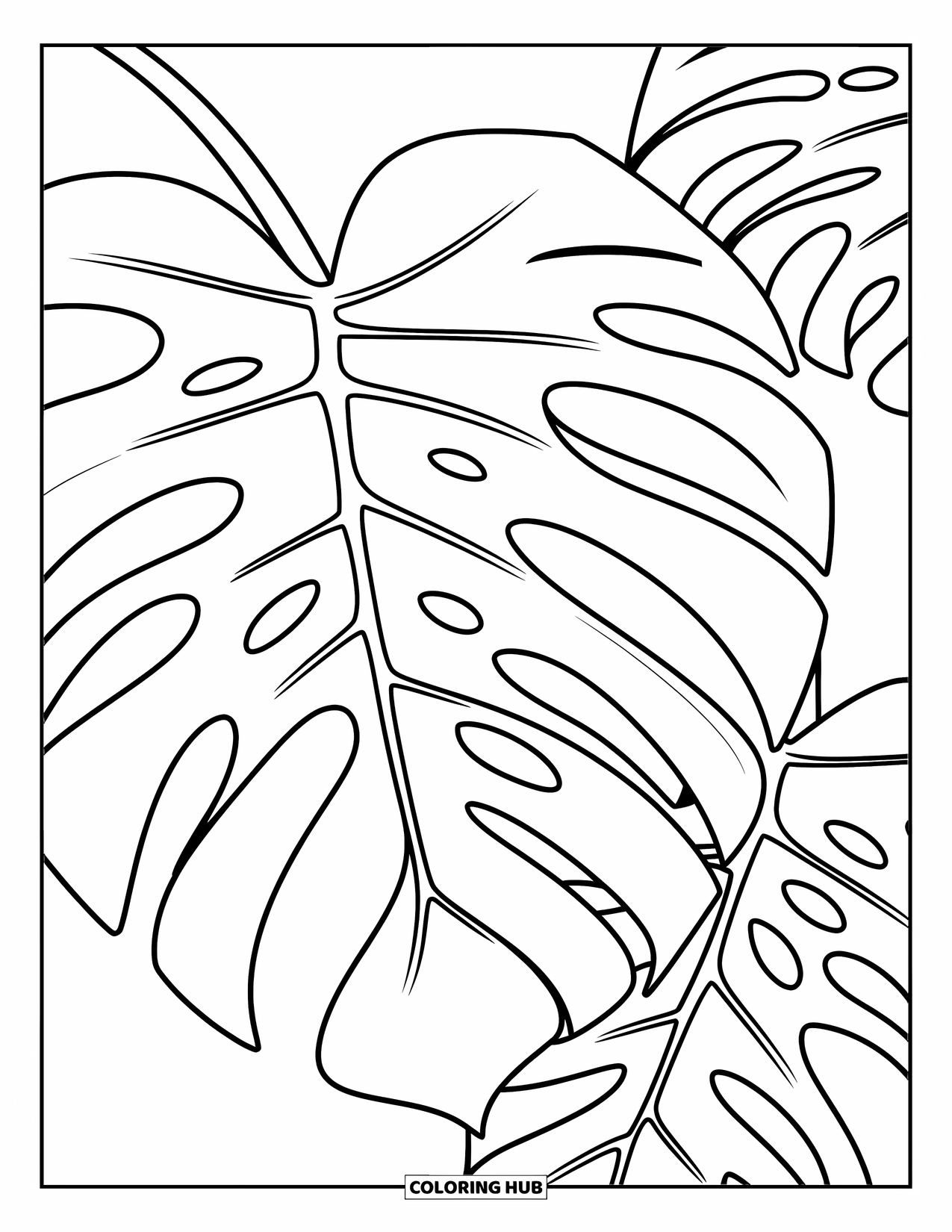 Leaf Coloring Page for Kids: A simple monstera leaf with elegant curves and open spaces stands out beautifully