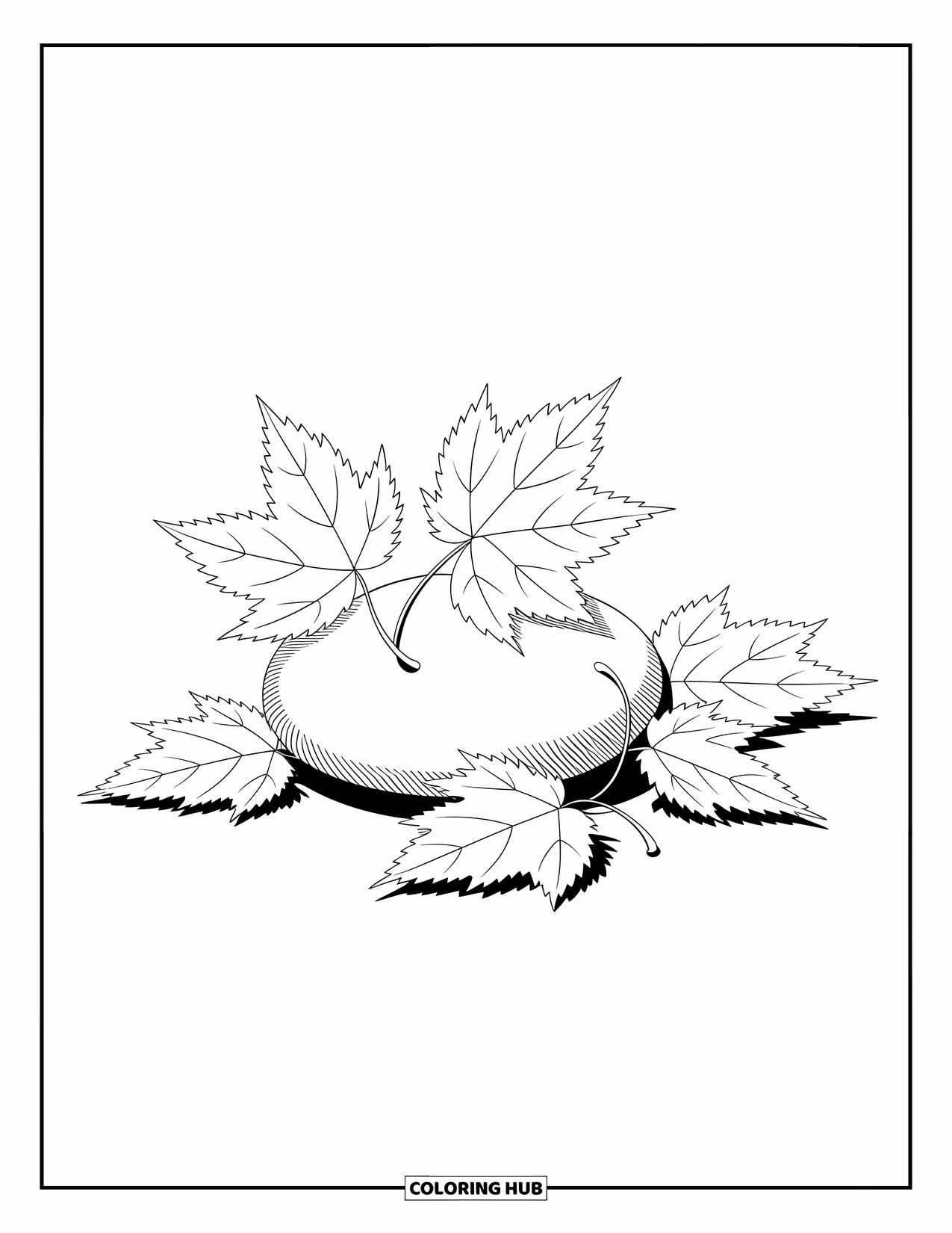 Leaf Coloring Page for Kids: A small pile of aspen leaves rests gently against a smooth stone, creating a serene, natural scene