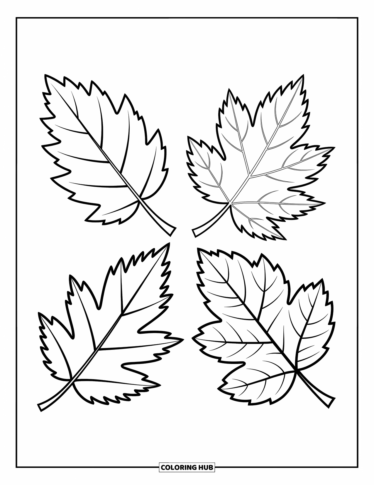 Leaf Coloring Page for Kids: A square arrangement of four leaves highlights the variety in their natural forms
