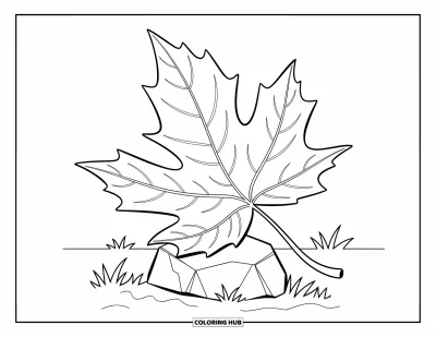 125+ Leaf Coloring Pages