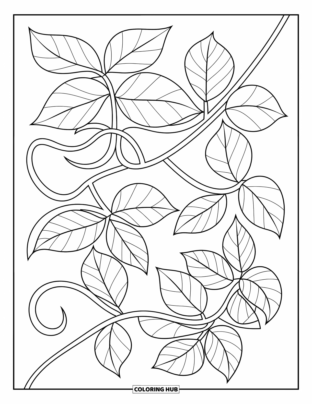 Leaf Coloring Page for Kids: A twisting vine with delicate leaves extends elegantly, adding a touch of nature's charm