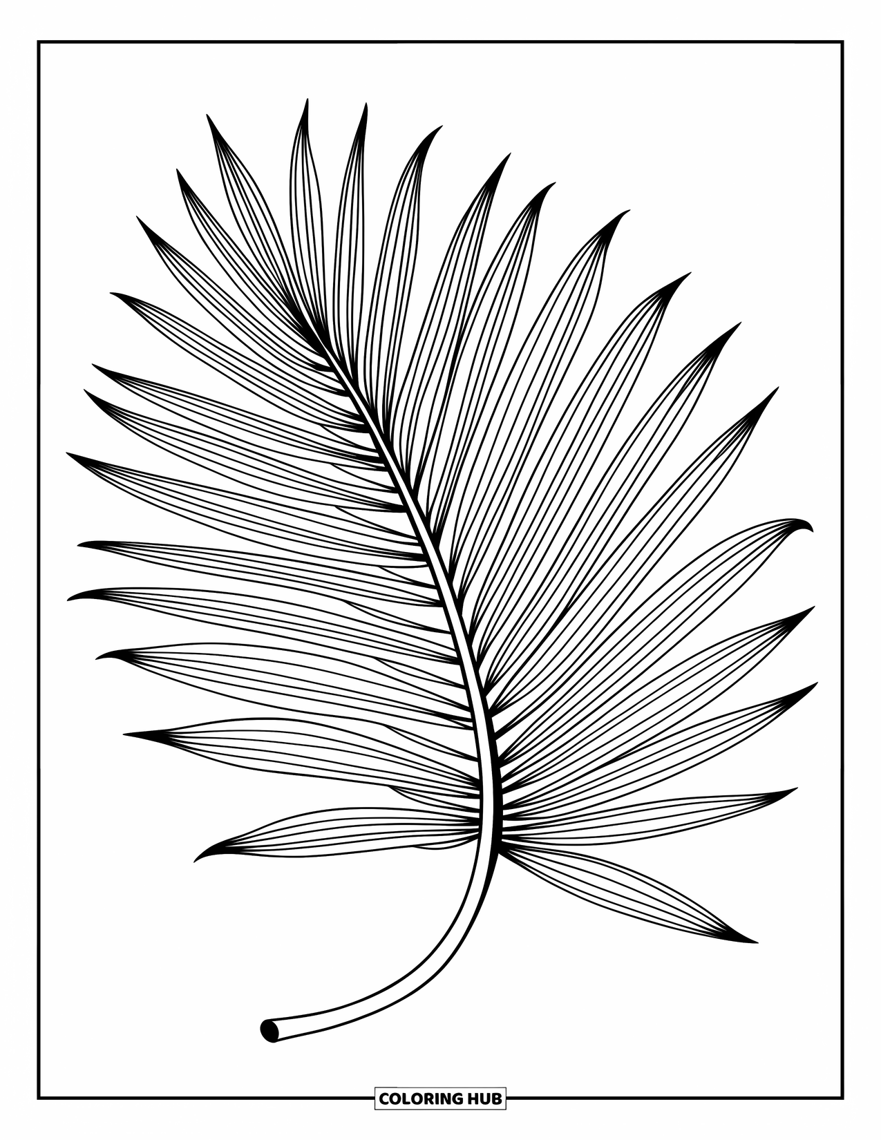 Leaf Coloring Page for Kids: An elegant cycad leaf arches slightly, displaying delicate feather-like details