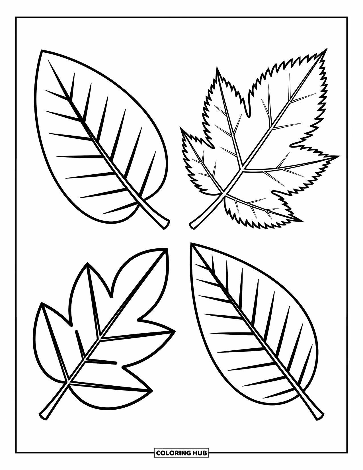 Leaf Coloring Page for Kids: Four different tree leaves form a balanced square, each with its own delicate details