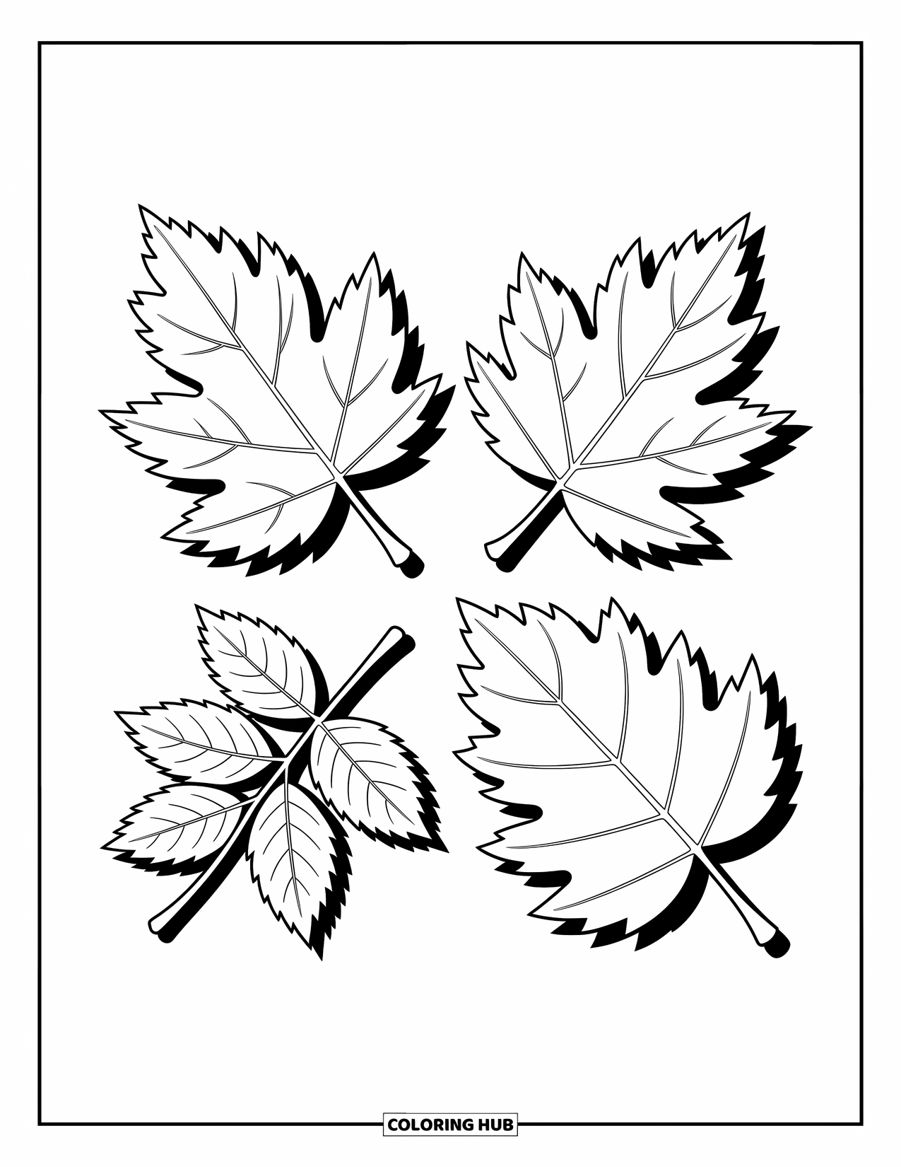 Leaf Coloring Page for Kids: Four distinct leaves are arranged in a neat square, showcasing their unique shapes