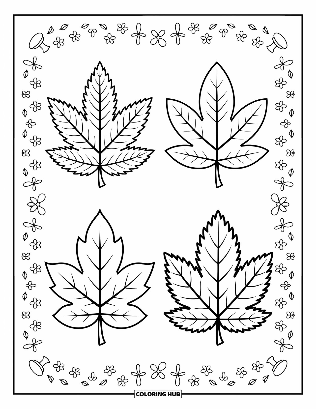 Leaf Coloring Page for Kids: Four leaves from different trees are arranged symmetrically, celebrating nature's diversity