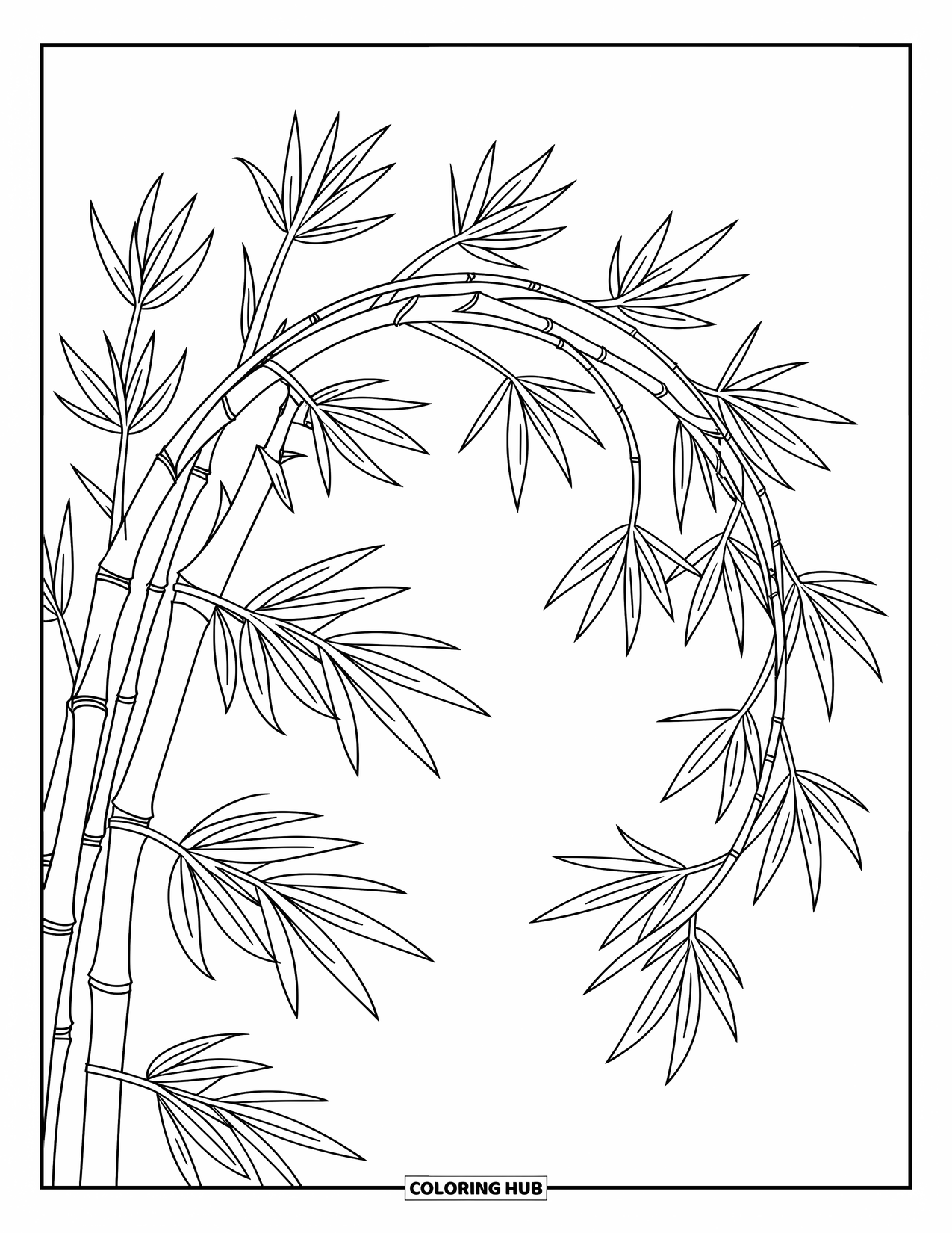 Leaf Coloring Page for Kids: Slender bamboo leaves arch elegantly, adding a touch of movement and grace