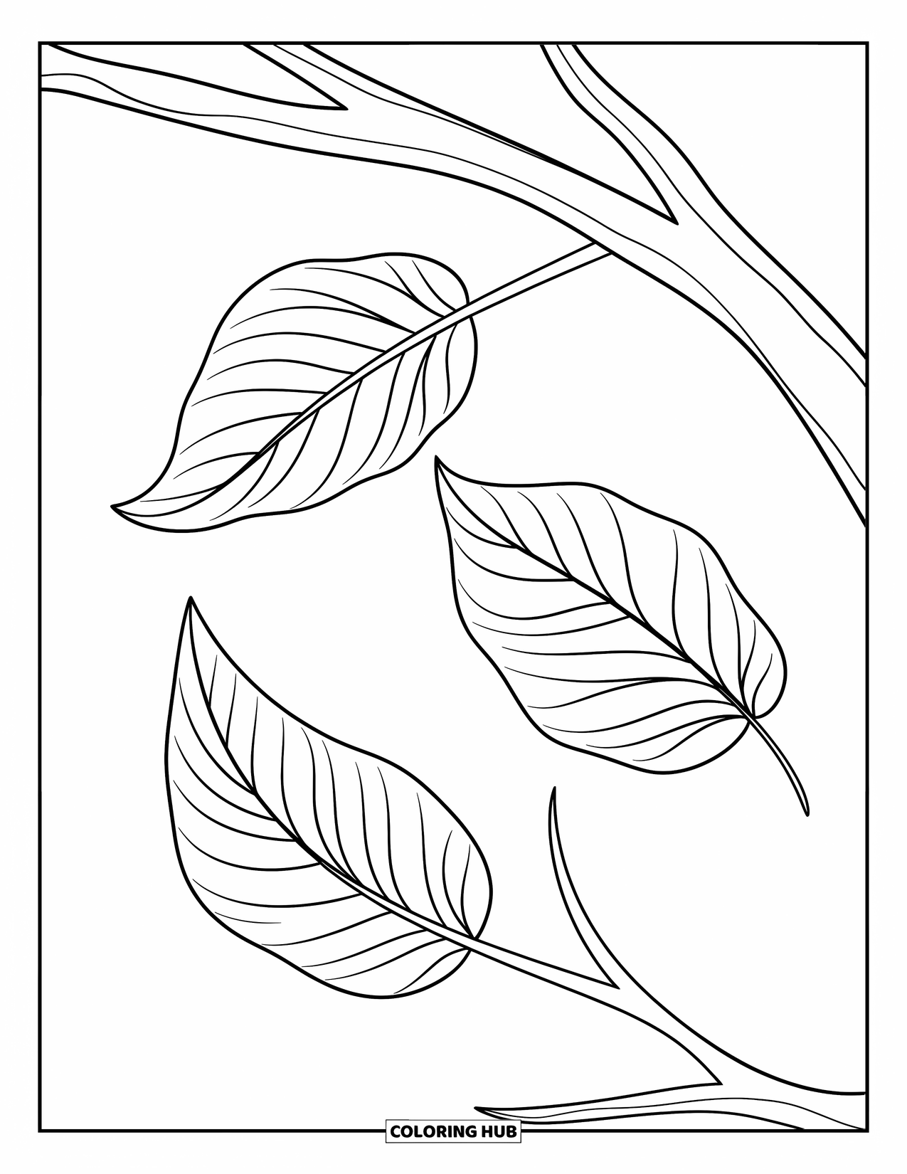 Leaf Coloring Page for Kids: Three delicate leaves dangle from a gracefully curved tree branch