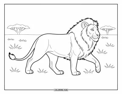 Coloriage de lion pour enfants : Un lion marche dans la savane, sa crinière flottant tandis qu’il scrute l’horizon