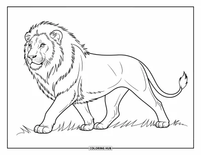 Coloriage de lion pour enfants : Un lion majestueux traverse la savane d’un pas assuré, sa crinière puissante flottant derrière lui
