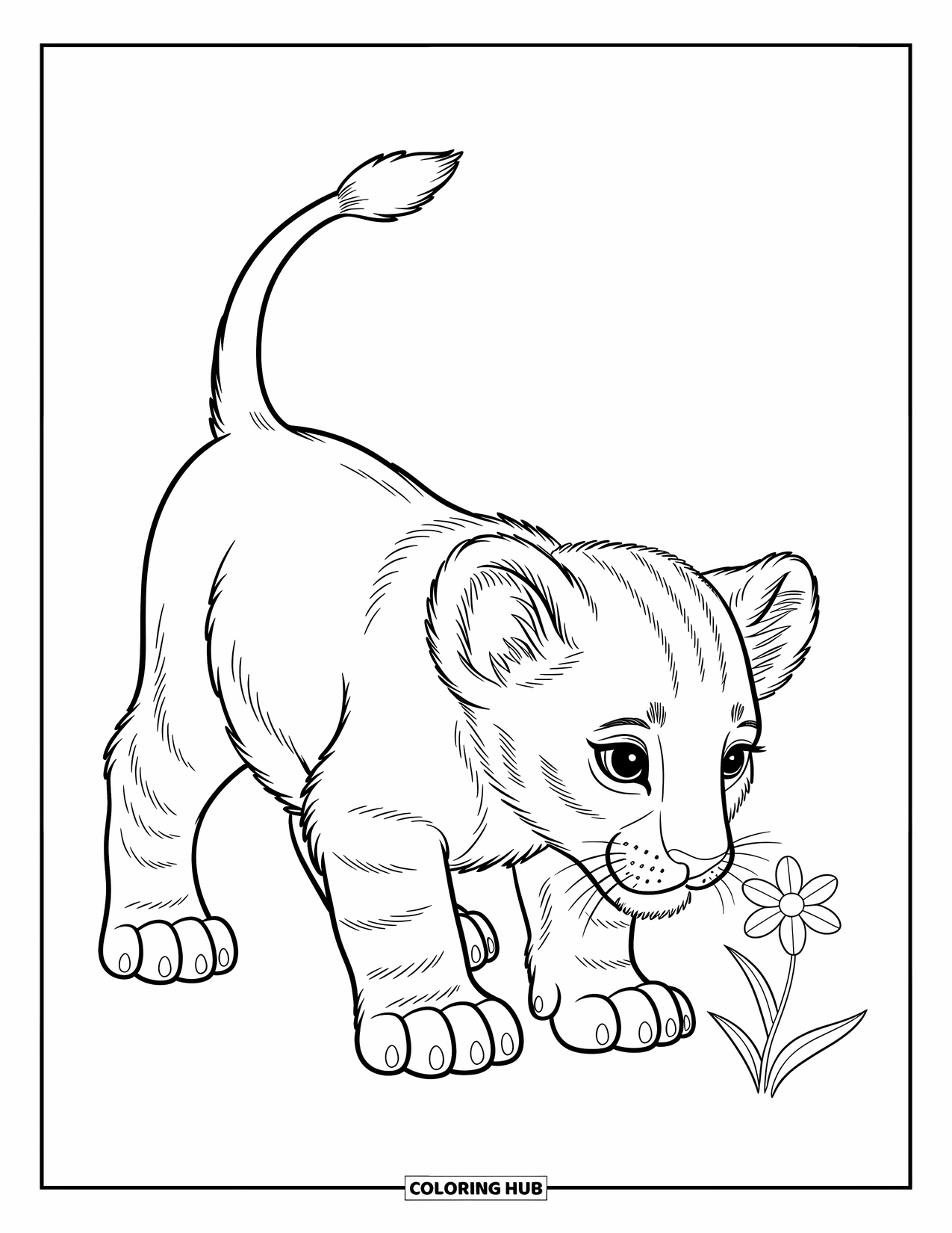 Lion Coloring Page for Kids: A playful lion cub with a raised tail gently sniffs a tiny flower with wonder
