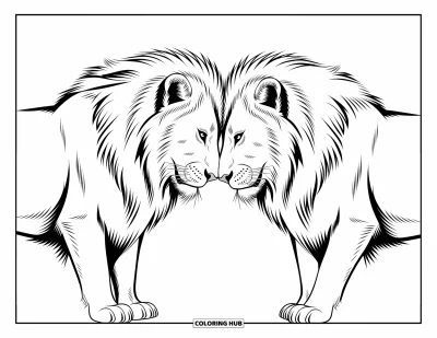 Coloriage de lion pour enfants : Deux lions pressent doucement leurs museaux l’un contre l’autre, leurs crinières se touchant tendrement