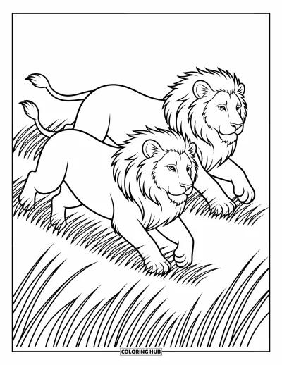 Coloriage de lion pour enfants : Deux lions traversent en courant un champ d’herbe, leurs foulées puissantes pleines d’énergie