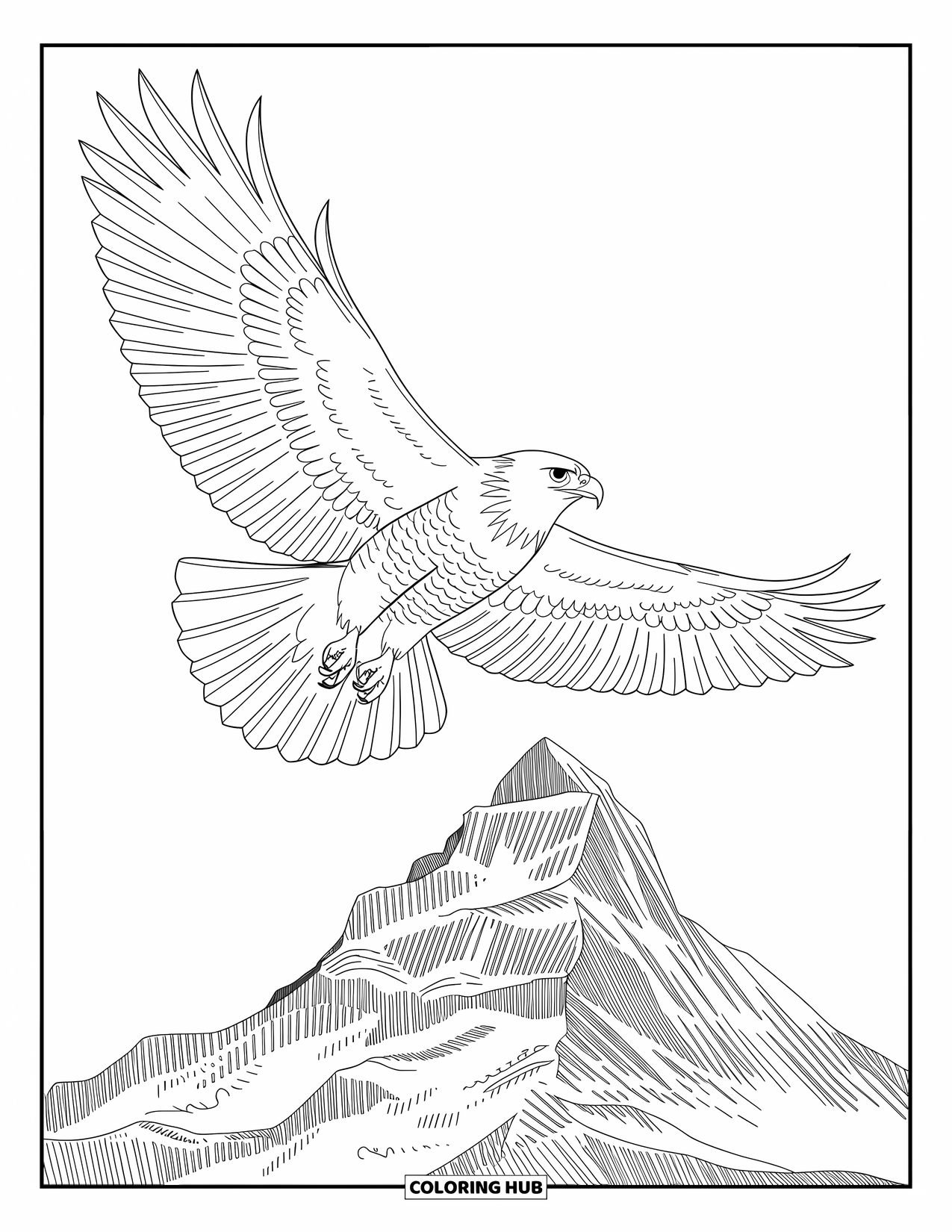 Mountain Coloring Page for Adults: A majestic hawk above mountains with detailed feathers and bold outlines