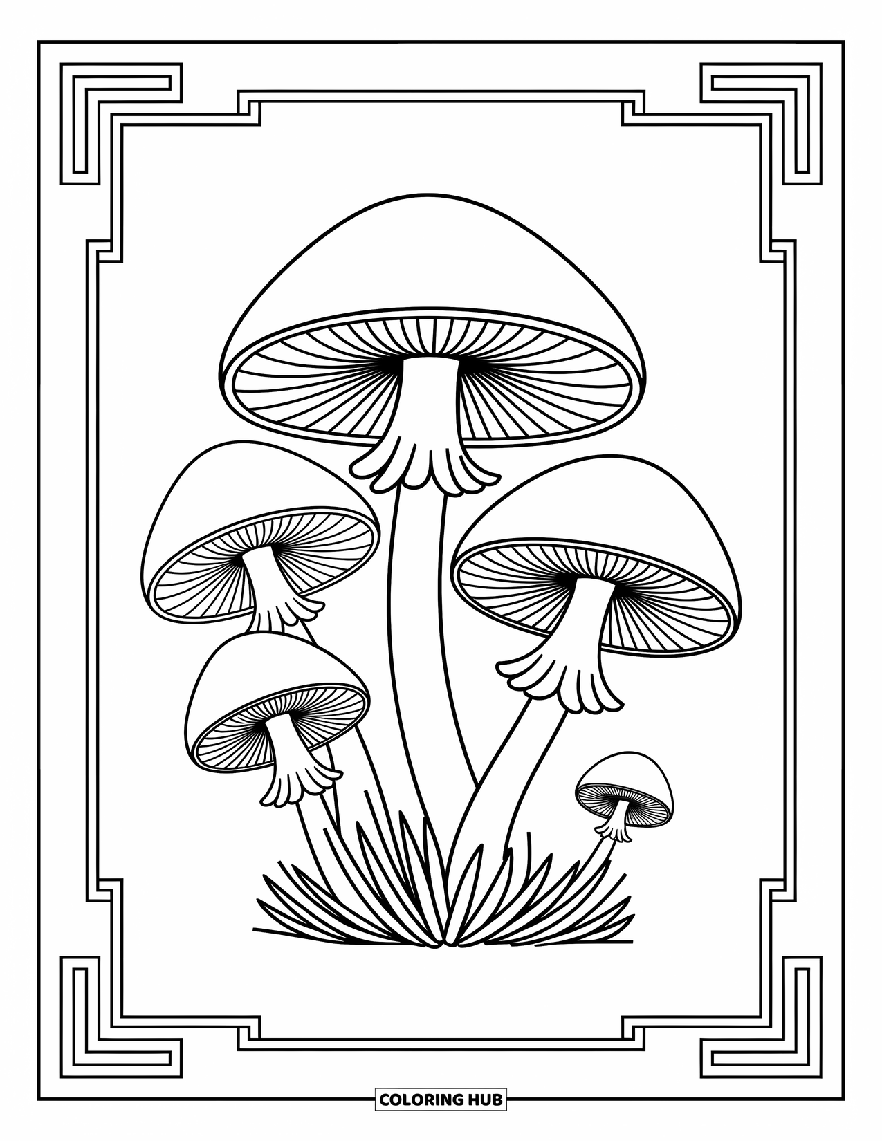 Mushroom Coloring Page for Adults: Mushrooms with petal-like patterns and swirling vines