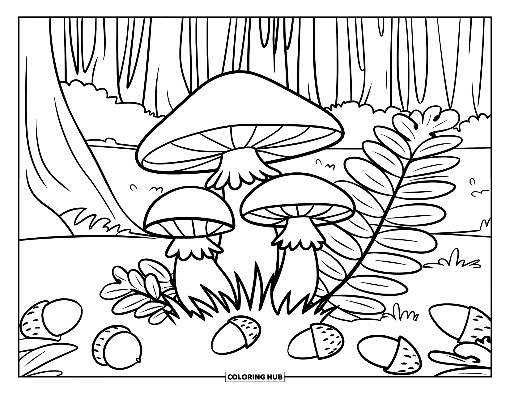 Mushroom Coloring Page for Kids: Mushrooms and ferns in a cozy forest clearing