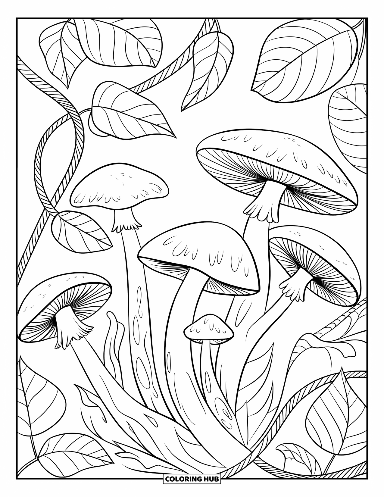 Mushroom Coloring Page for Kids: Mushrooms with thick vines and large leaves