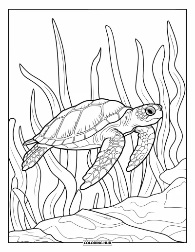 Ocean Animals Coloring Page for Adults: A graceful turtle glides through seaweed and rocky ocean paths