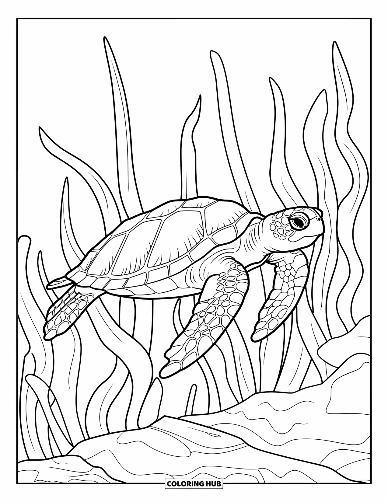Desenho de Animais Marinhos para Colorir para Adultos: Uma tartaruga graciosa desliza por algas marinhas e caminhos rochosos do oceano
