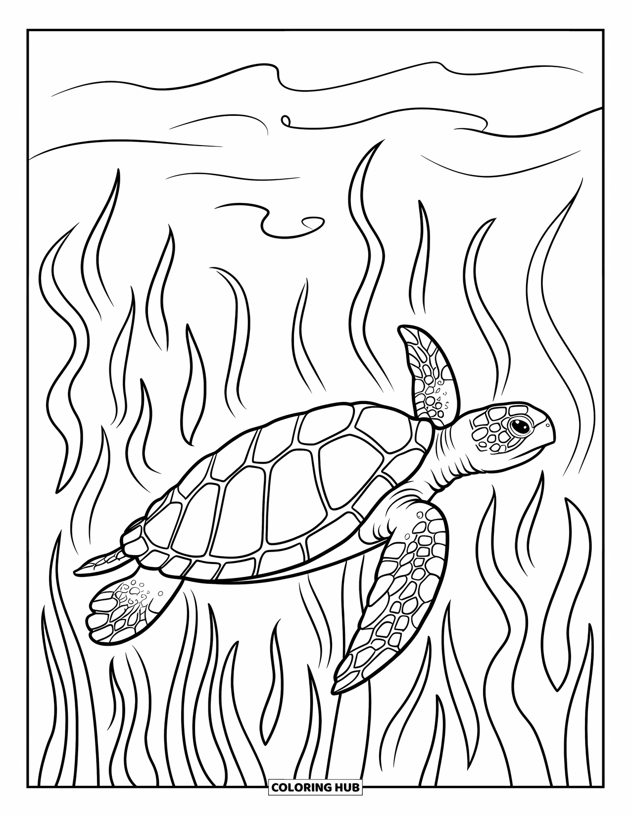 Desenho de Animais Marinhos para Colorir para Adultos: Uma tartaruga marinha nada calmamente através de algas marinhas ondulantes