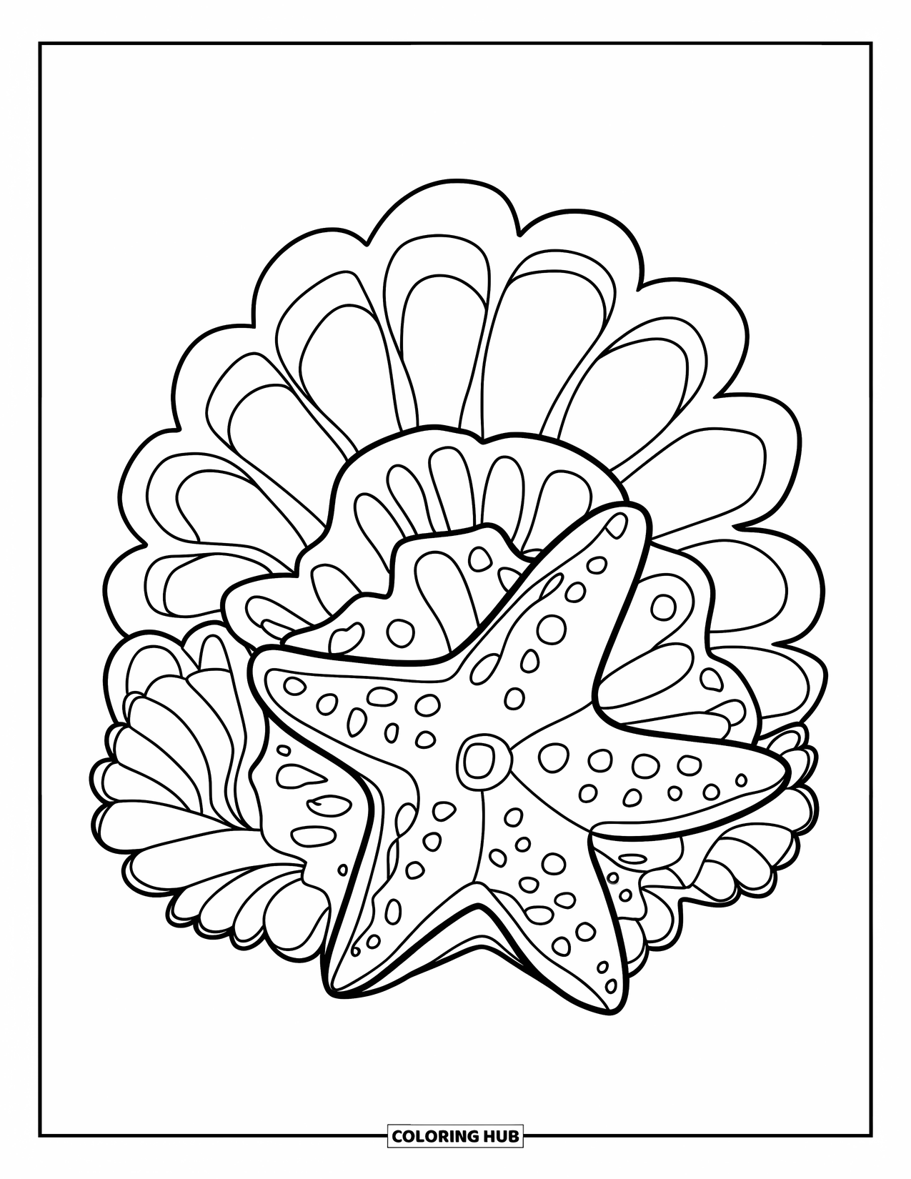 Desenho de Animais Marinhos para Colorir para Adultos: Uma estrela-do-mar repousa entre conchas em espiral e padrões subaquáticos