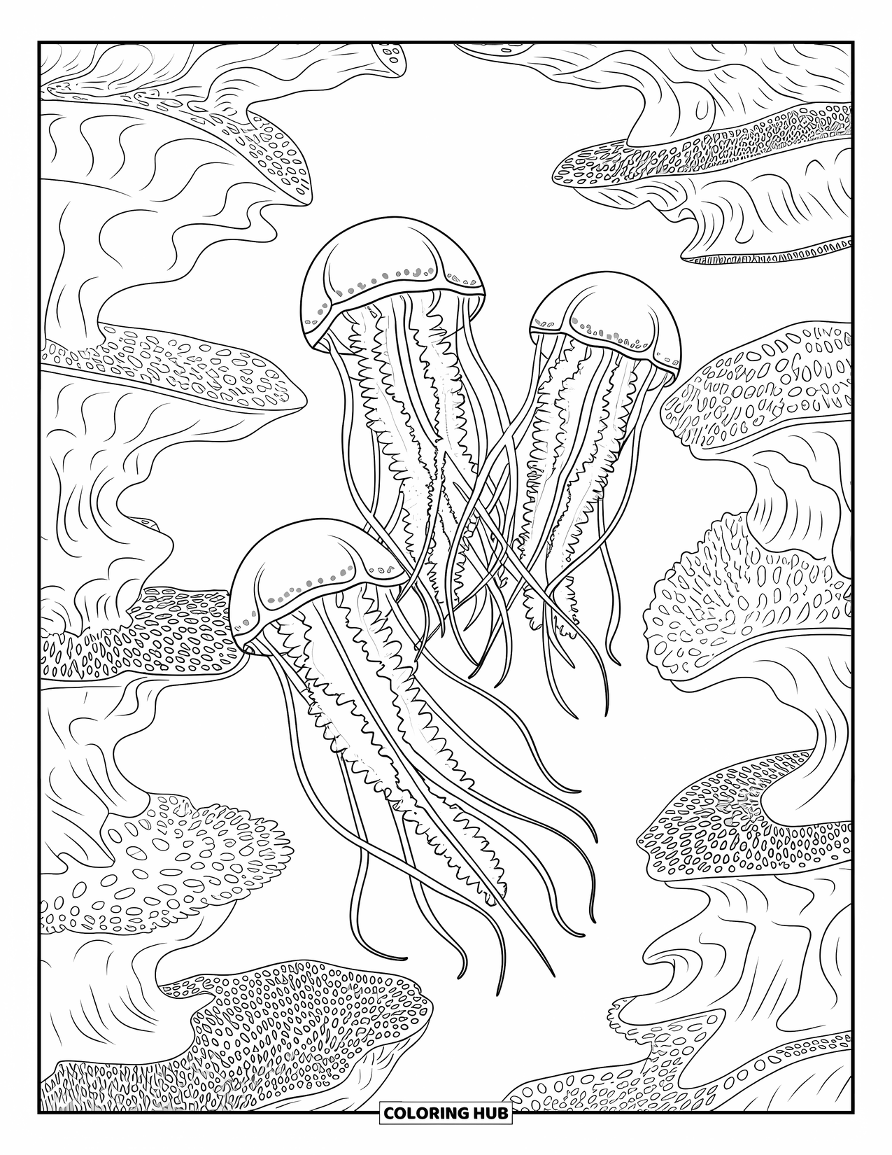 Desenho de Animais Marinhos para Colorir para Adultos: Três águas-vivas com tentáculos rastejantes flutuam sobre um recife de coral ondulado