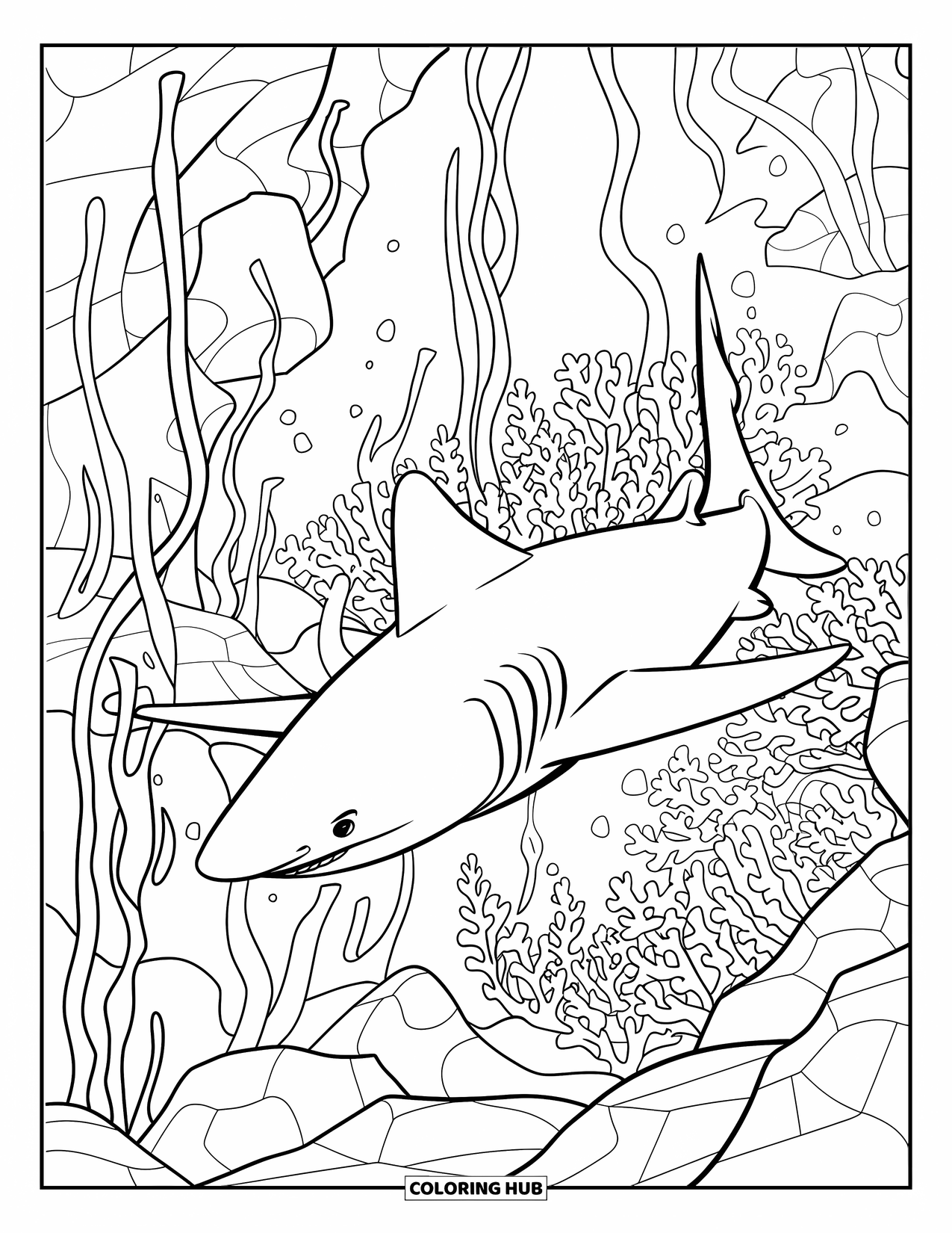 Desenho de Animais Marinhos para Crianças: Um tubarão-martelo nada através de algas marinhas e terreno subaquático rochoso