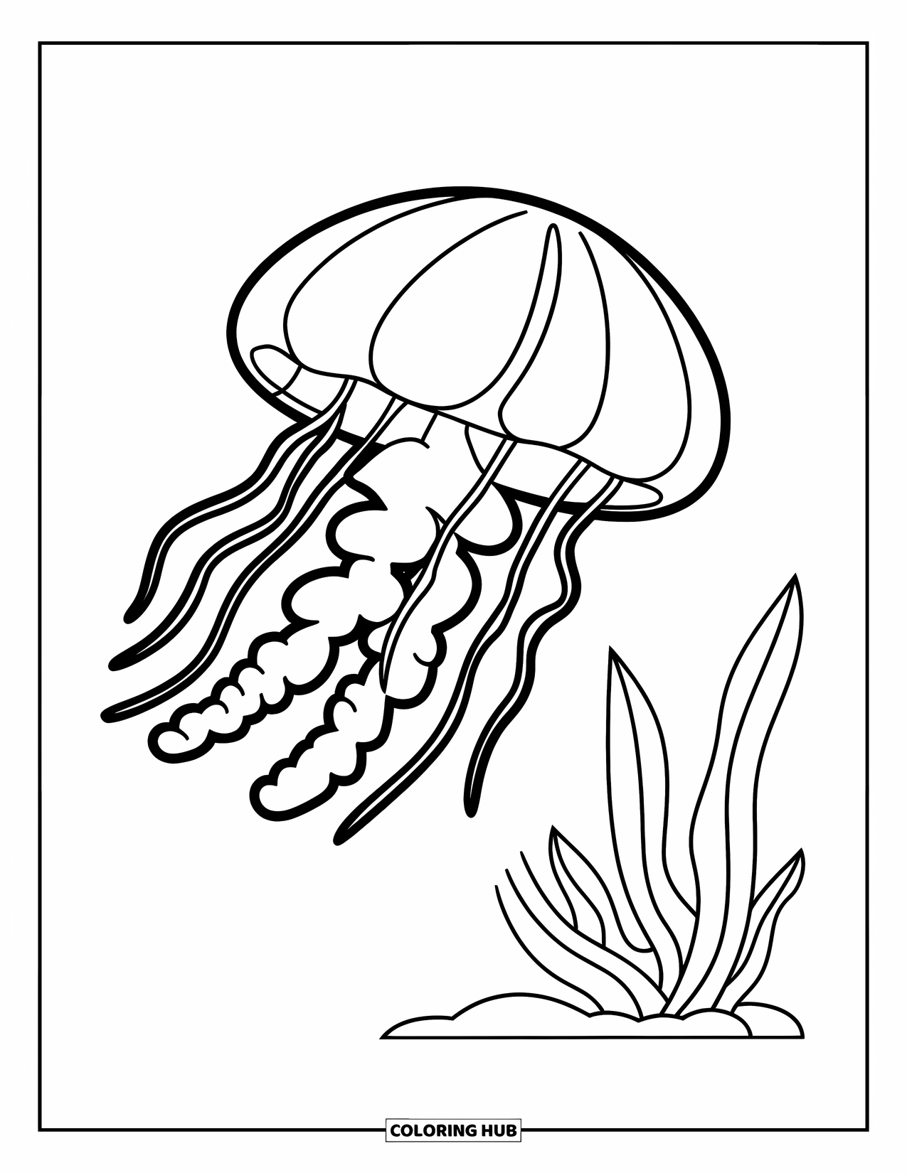 Desenho de Animais Marinhos para Crianças: Uma água-viva com longos tentáculos flutua perto de algas marinhas em uma cena oceânica simples