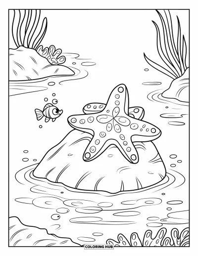 Ocean Animals Coloring Page for Kids: A starfish relaxes on a rock while a tiny fish swims nearby