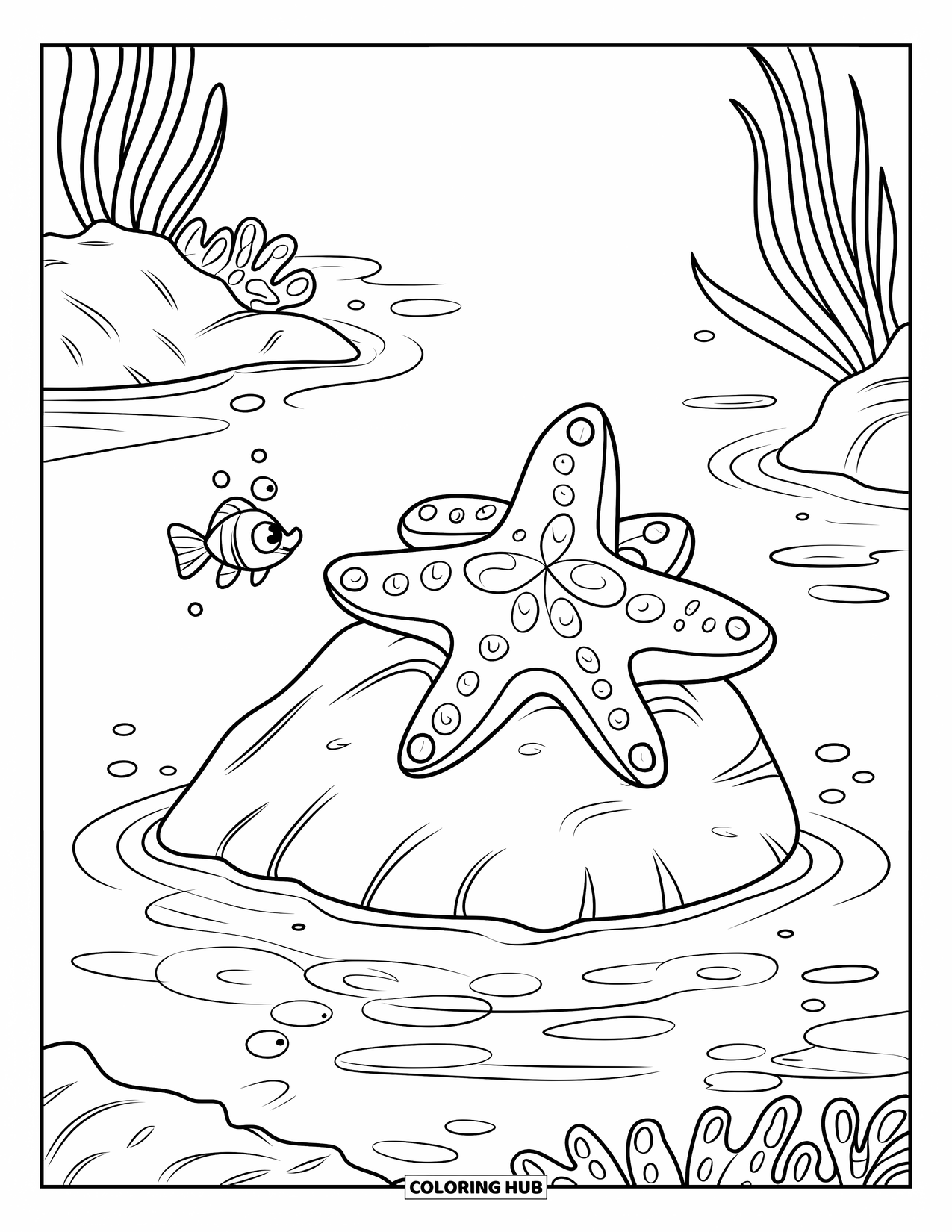 Desenho de Animais Marinhos para Crianças: Uma estrela-do-mar relaxa em uma rocha enquanto um pequeno peixe nada por perto
