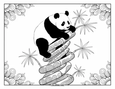 Panda-Ausmalbild für Erwachsene: Ein Panda klettert an einem spiralförmigen Bambusstängel, dessen Abschnitte mit detailreichen Wirbeldesigns verziert sind