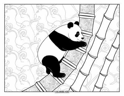 Panda-Ausmalbild für Erwachsene: Ein Panda hält sich an einer Spirale aus hohem Bambus fest, umgeben von feinen Ranken und Blumenmustern