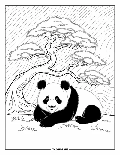 Panda-Ausmalbild für Erwachsene: Ein Panda ruht friedlich unter einem Bonsaibaum, umgeben von zarten wirbelnden Ranken und Blumenmotiven