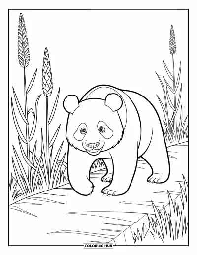 Panda-Ausmalbild für Kinder: Ein Panda trottet einen schmalen Pfad entlang, umgeben von ausdrucksstarken Pflanzen in modernem Design