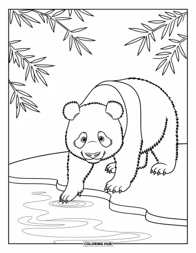 Panda-Ausmalbild für Kinder: Ein Panda taucht seine Pfote in einen stillen Teich, umgeben von feinen Schilfhalmen und schwimmenden Seerosenblättern