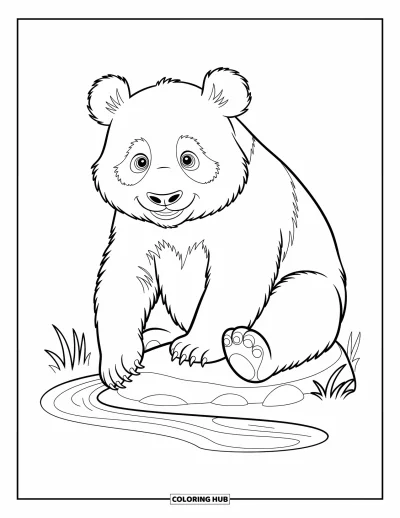 Panda-Ausmalbild für Kinder: Ein Panda sitzt auf einem Felsen und taucht seine Pfote in einen ruhigen, fließenden Bach