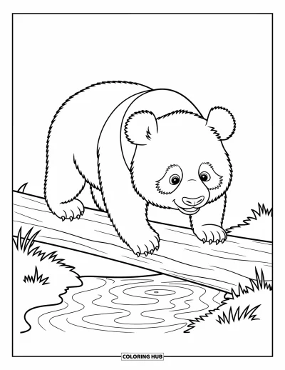 Panda-Ausmalbild für Kinder: Ein Panda setzt vorsichtig einen Schritt auf einen Stamm und balanciert über einem kräuselnden Bach