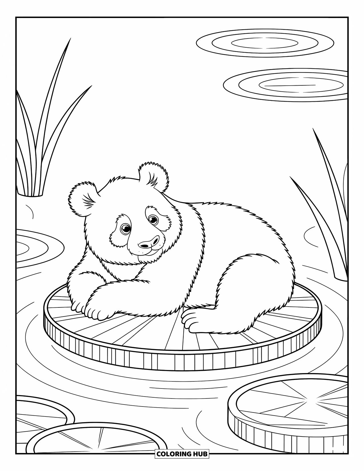 Panda Kleurplaat voor Kinderen: Een bedachtzame panda rust op een waterlelieblad, omringd door zachte waterrimpelingen en delicate rietstengels