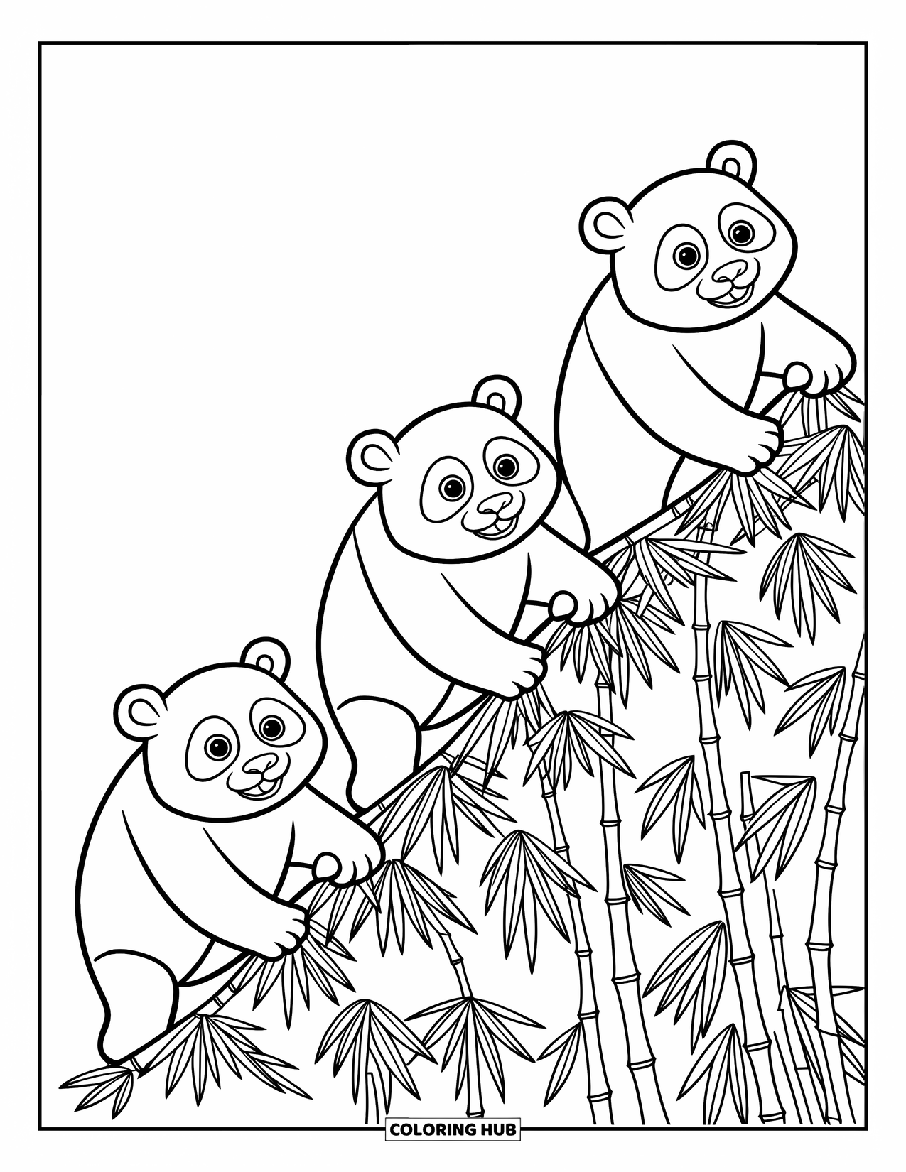 Panda Kleurplaat voor Kinderen: Drie vastberaden panda's beklimmen een met bamboe bedekte heuvel, hun speelse bewegingen vol energie en focus