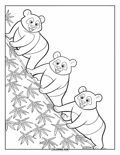 Panda-Ausmalbild für Kinder: Drei Pandas steigen einen steilen Hügel hinauf, halten sich an Bambusstängeln fest, während Blätter flattern